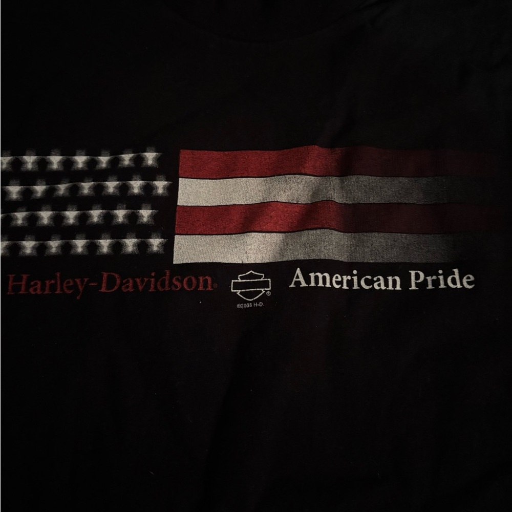 Harley-Davidson Black Patriotic Men's large T-Shirt Zepka Johnstown Pa